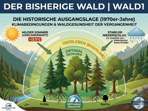 Der bisherige Wald