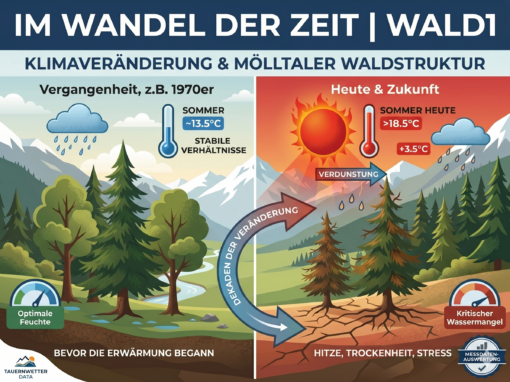 im Wandel der Zeit