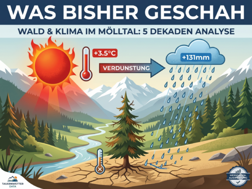 Was bisher geschah