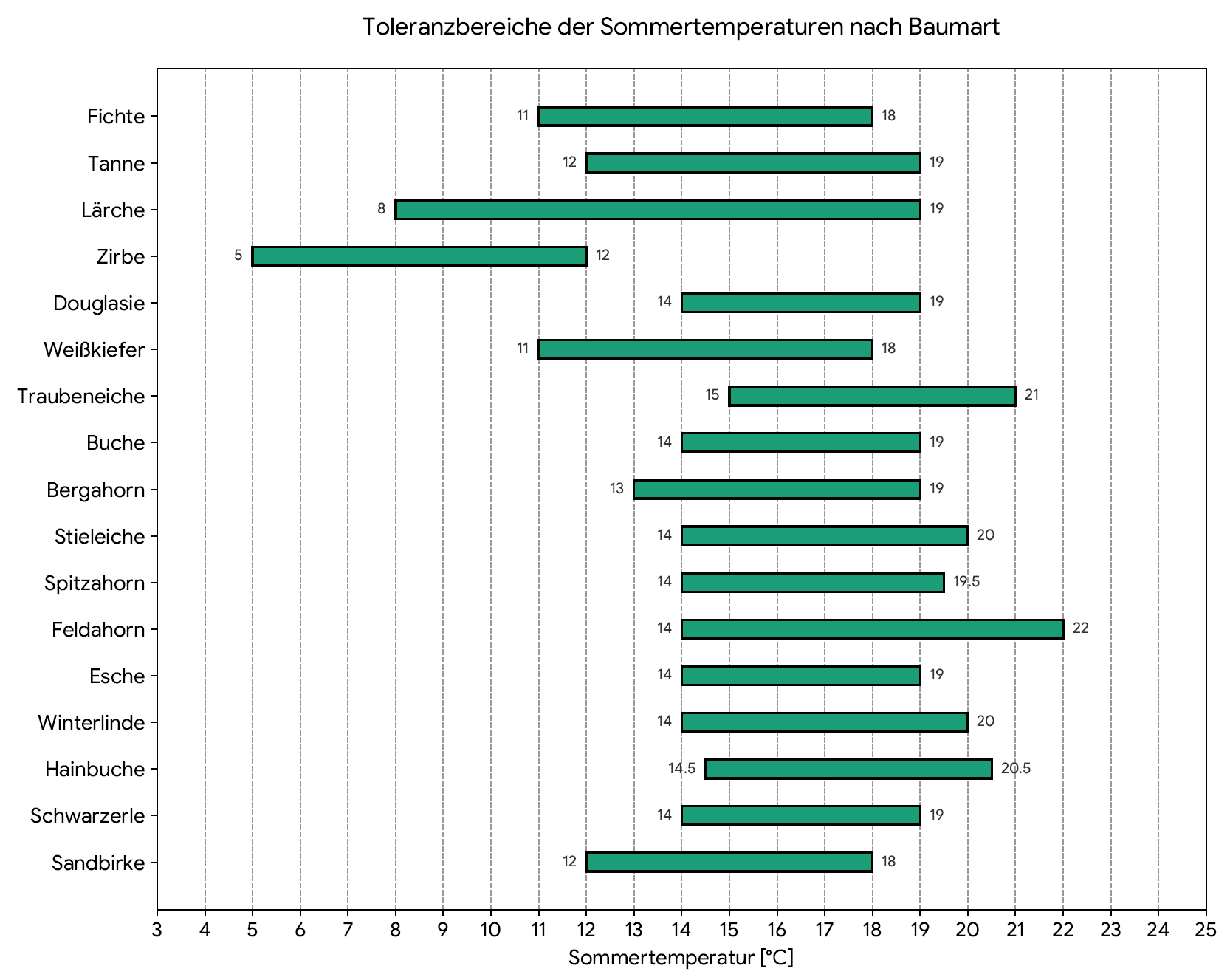 Toleranzbereiche Baumarten sommertemperatur