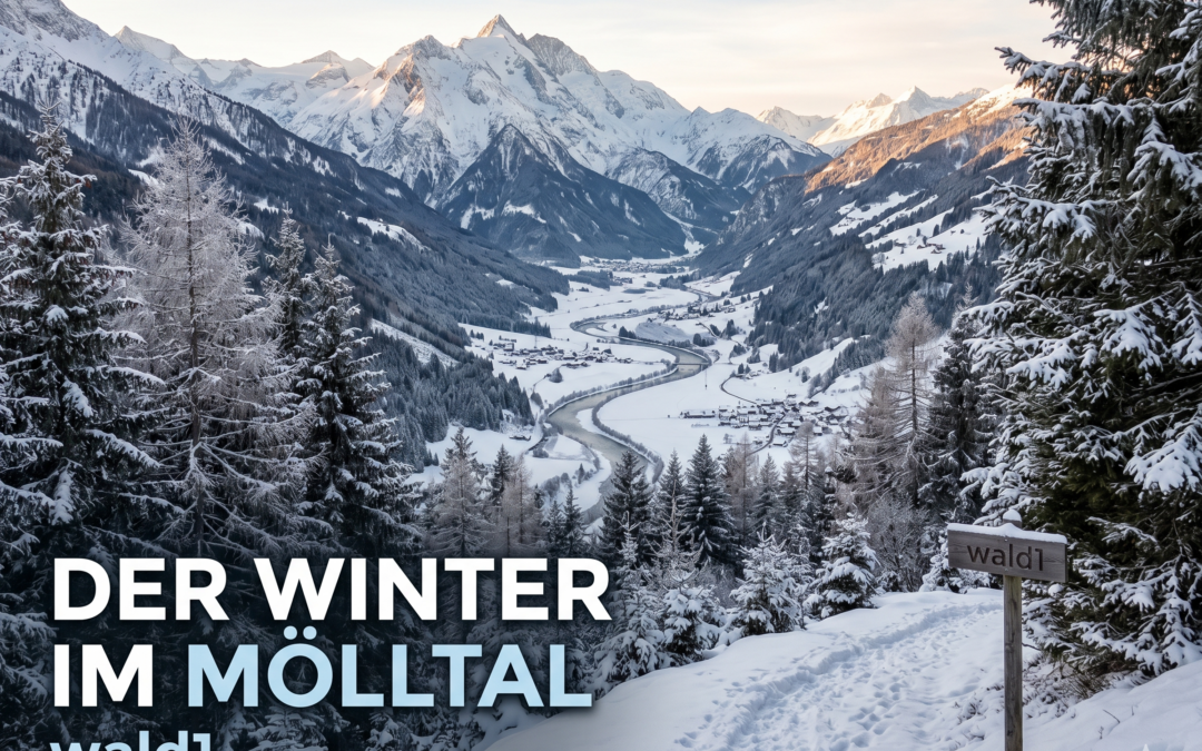 Der Winter im Mölltal