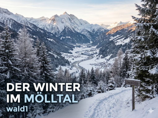 Der Winter im Mölltal