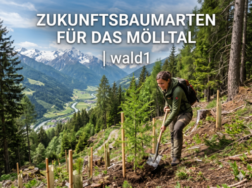Zukunftsbaumarten für das Mölltal